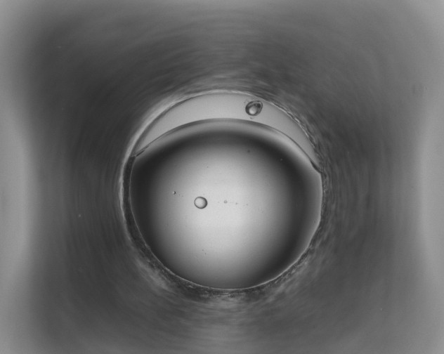 X0000111630148200907241057