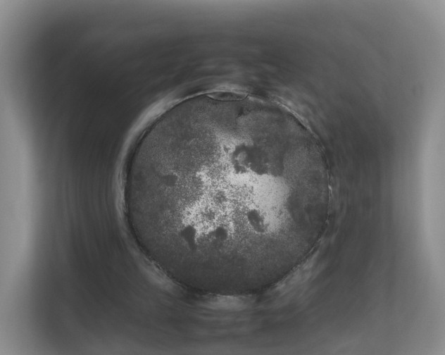 X0000111630149200907241057