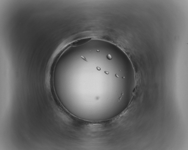 X0000111630150200907241057