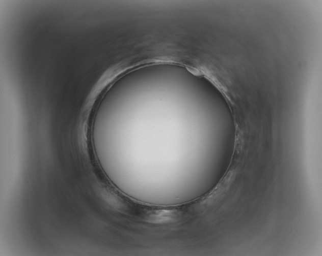 X0000111630151200907241057