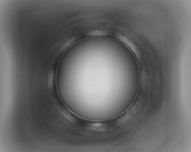 X0000111630153200907241057