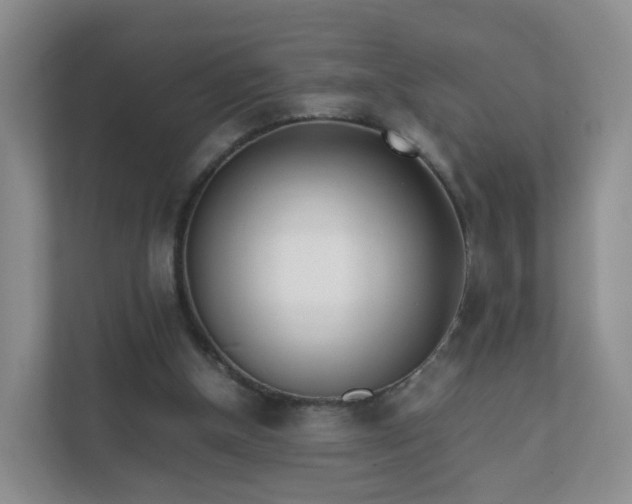 X0000111630154200907241057