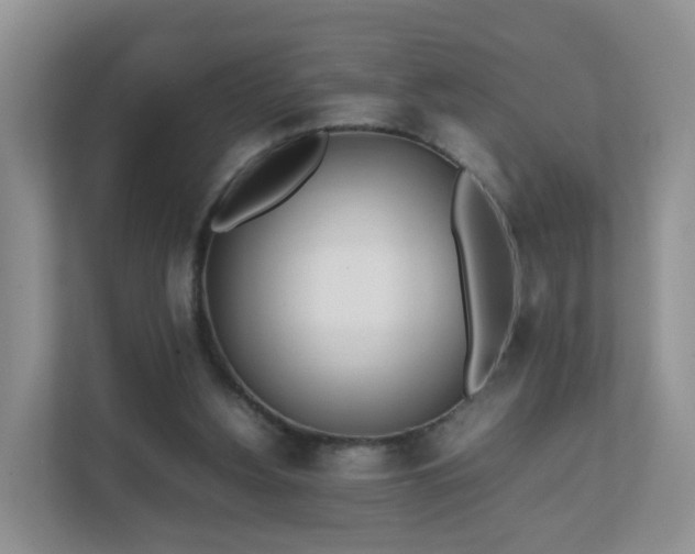 X0000111630156200907241057