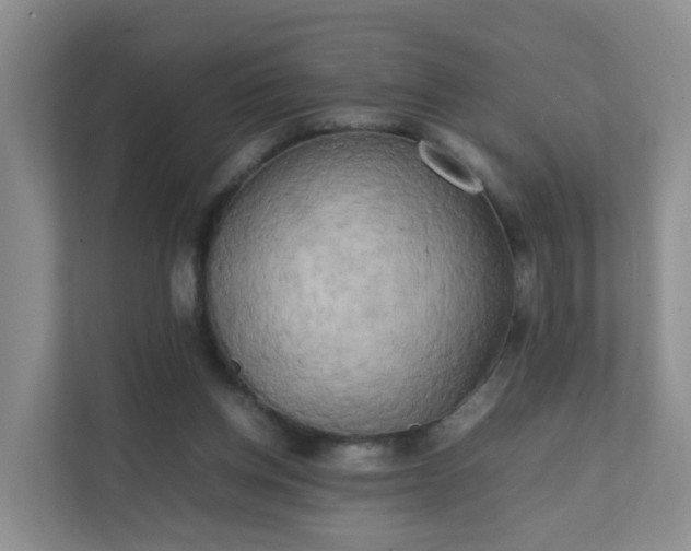 X0000111630158200907241057