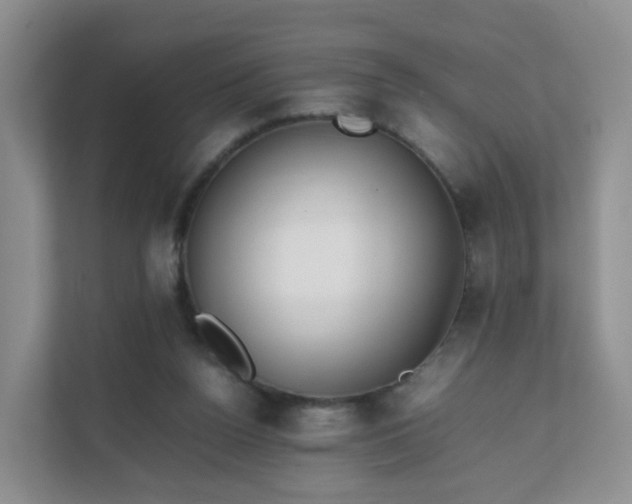 X0000111630160200907241057