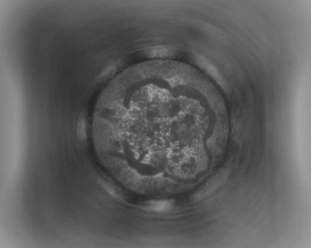 X0000111630161200907241057