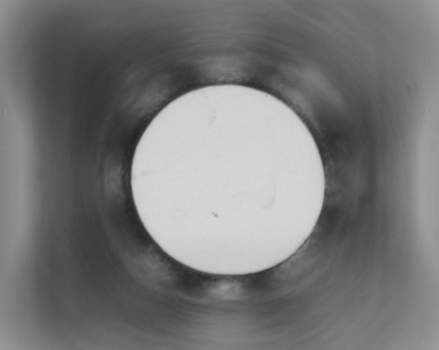 X0000111630162200907241057