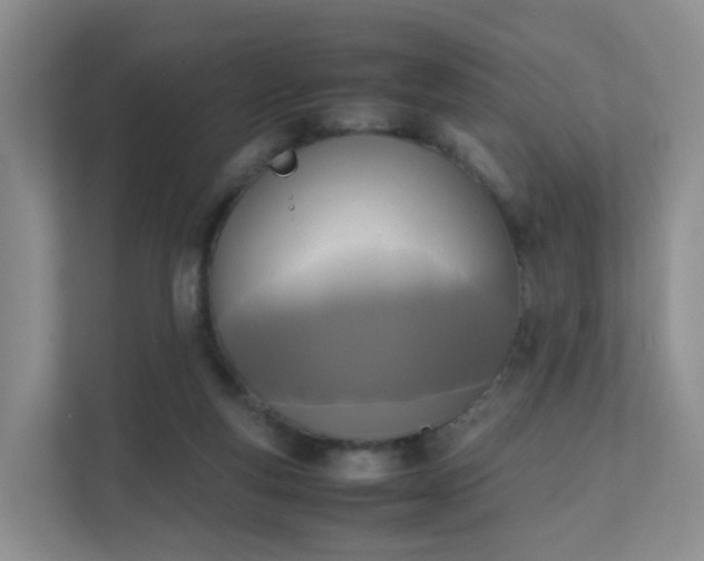 X0000111630163200907241057