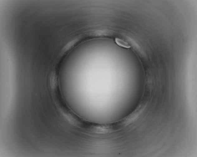 X0000111630164200907241057