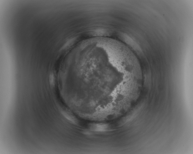 X0000111630165200907241057