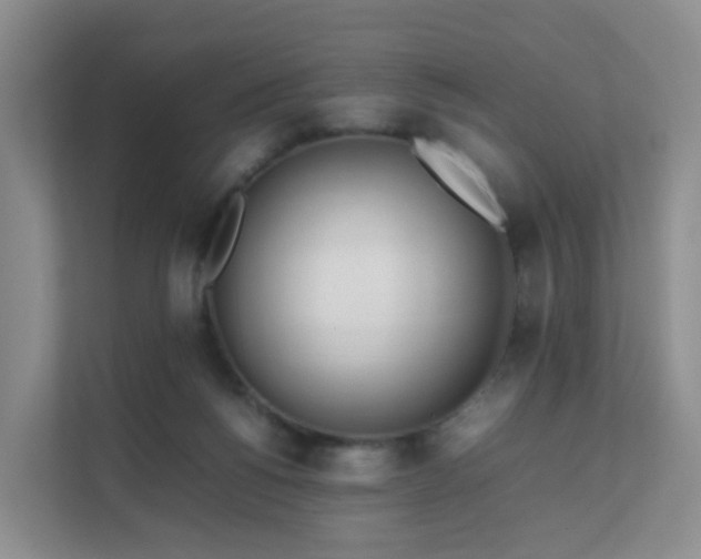 X0000111630168200907241057