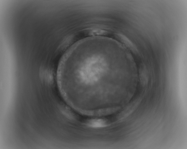 X0000111630169200907241057