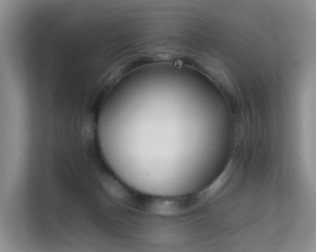 X0000111630174200907241058