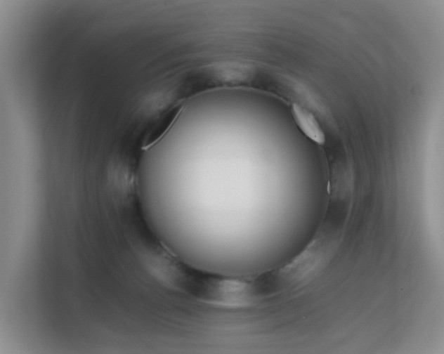 X0000111630176200907241058