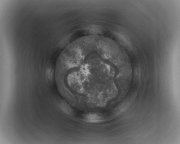 X0000111630177200907241058