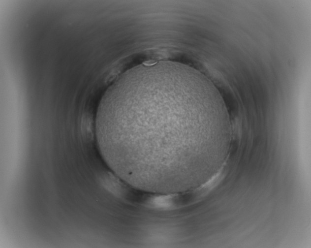 X0000111630178200907241058