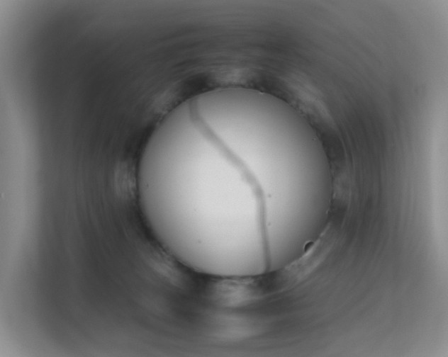 X0000111630179200907241058