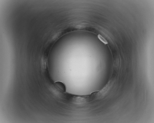 X0000111630180200907241058