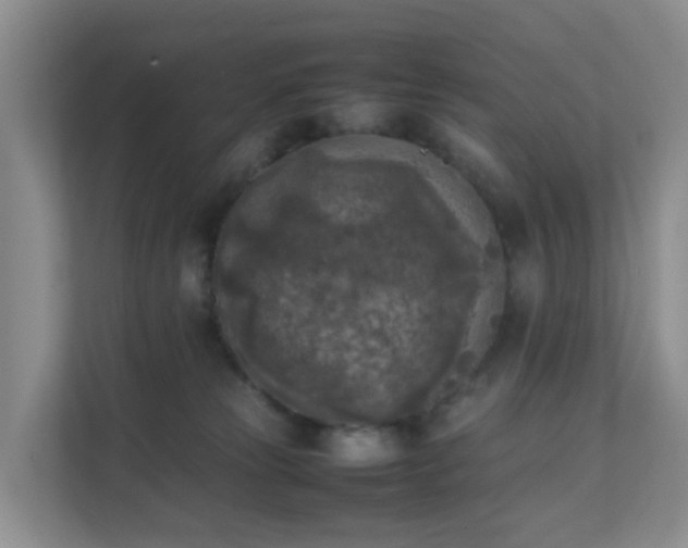 X0000111630181200907241058