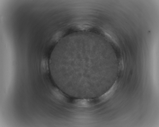 X0000111630182200907241058