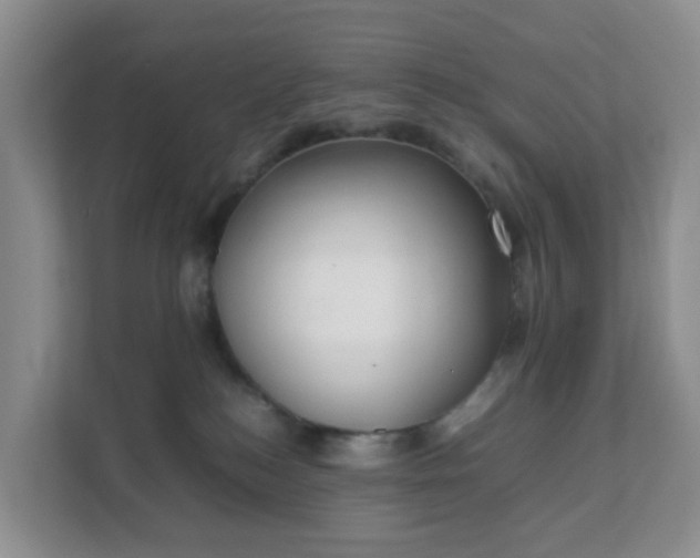 X0000111630184200907241058