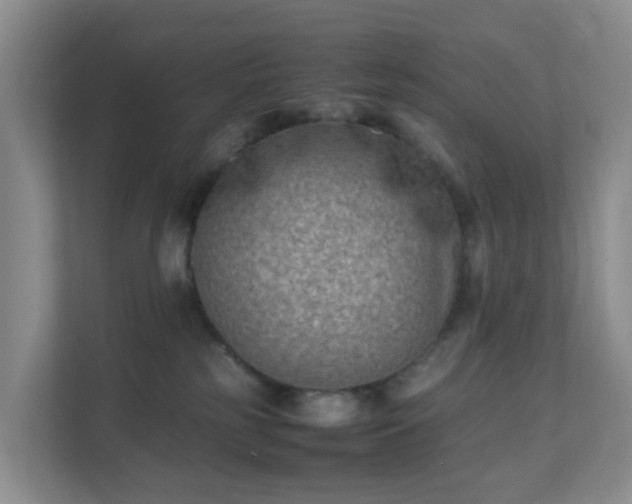 X0000111630185200907241058