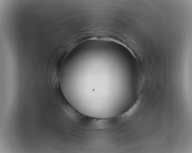 X0000111630186200907241058