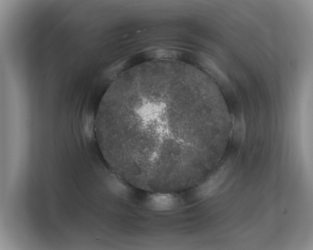 X0000111630189200907241058