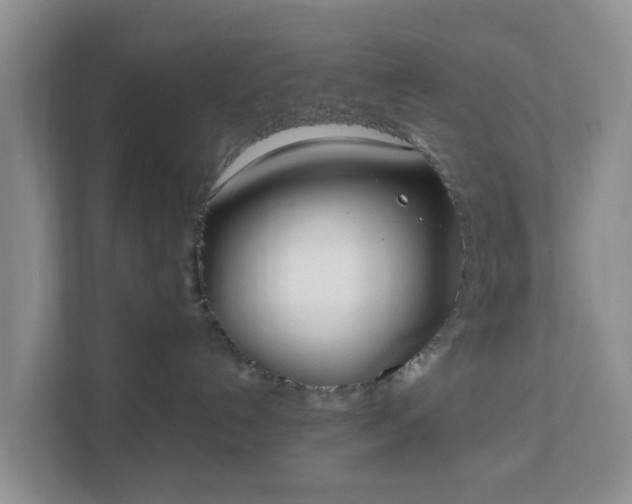 X0000111630192200907241058