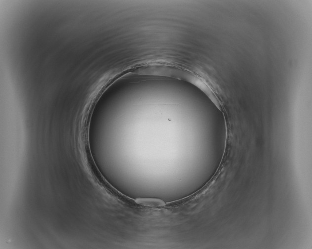 X0000111630193200907241057