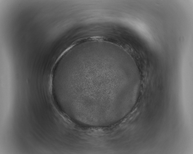 X0000111630194200907241057