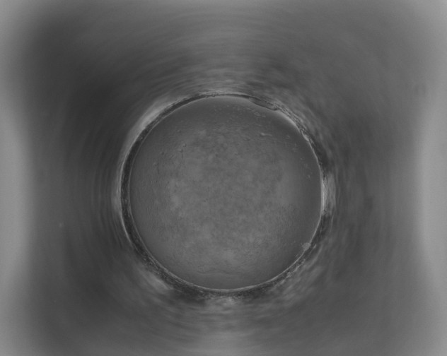 X0000111630195200907241057