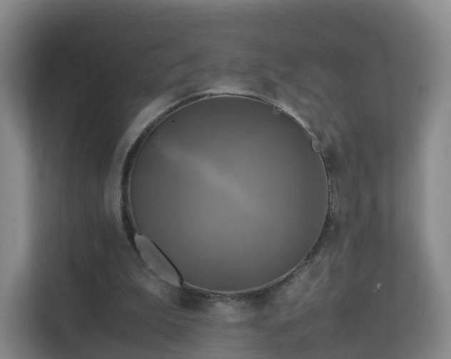 X0000111630199200907241057