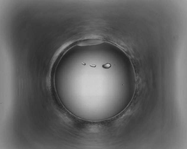 X0000111630200200907241057