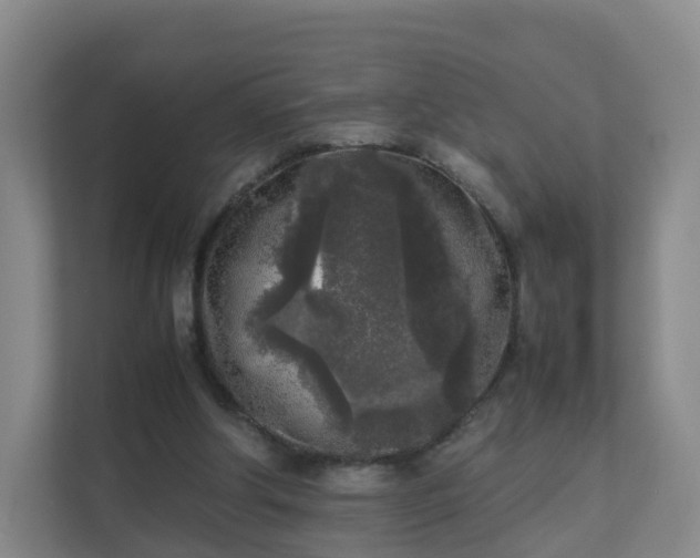 X0000111630202200907241057