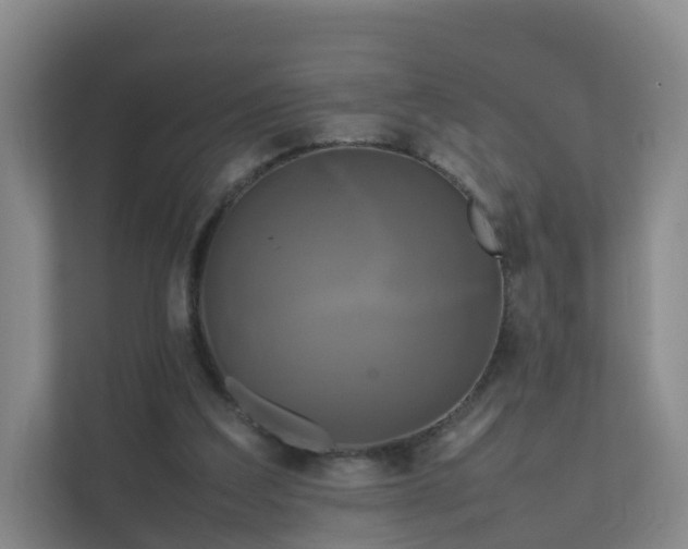 X0000111630203200907241057