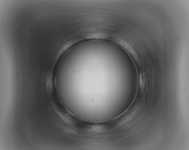 X0000111630204200907241057