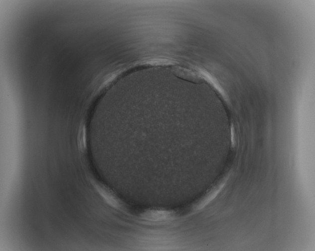 X0000111630205200907241057