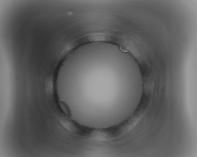 X0000111630207200907241057