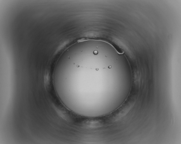 X0000111630208200907241057