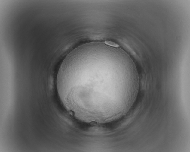 X0000111630211200907241057