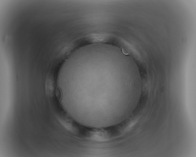 X0000111630215200907241057