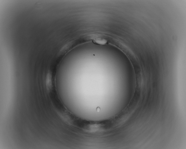 X0000111630216200907241057