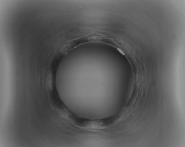 X0000111630223200907241057