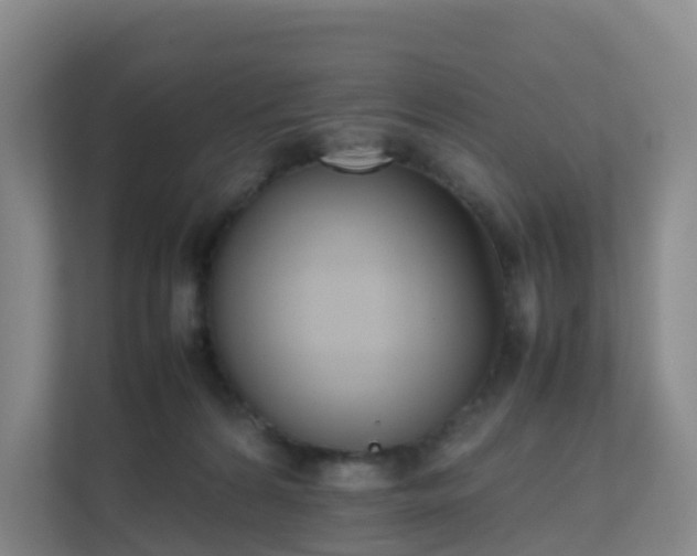 X0000111630224200907241057