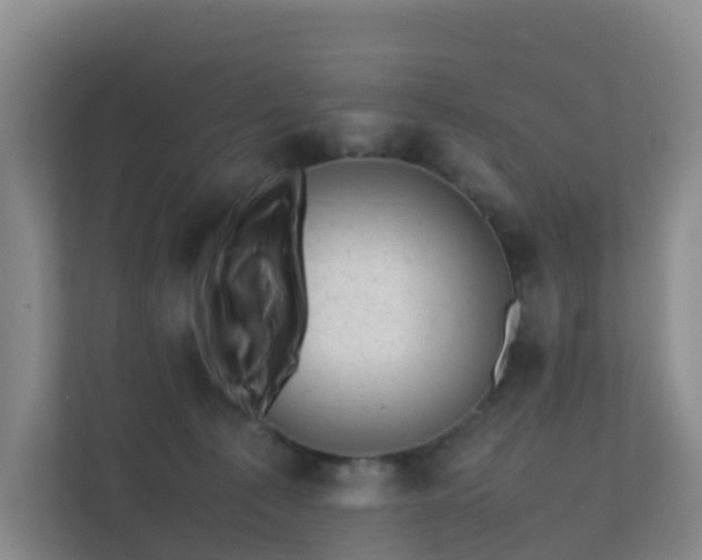 X0000111630225200907241057