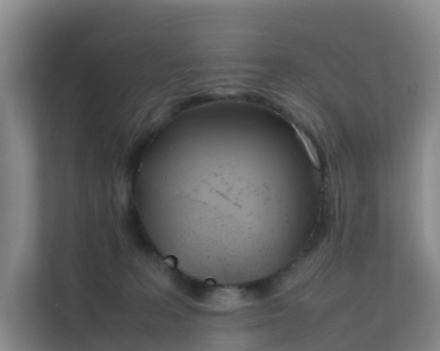 X0000111630227200907241057