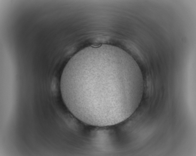 X0000111630228200907241057