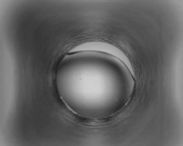 X0000111630229200907241057