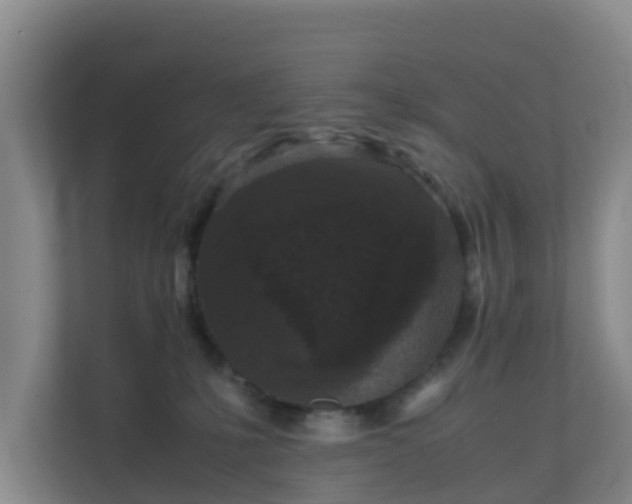 X0000111630231200907241057